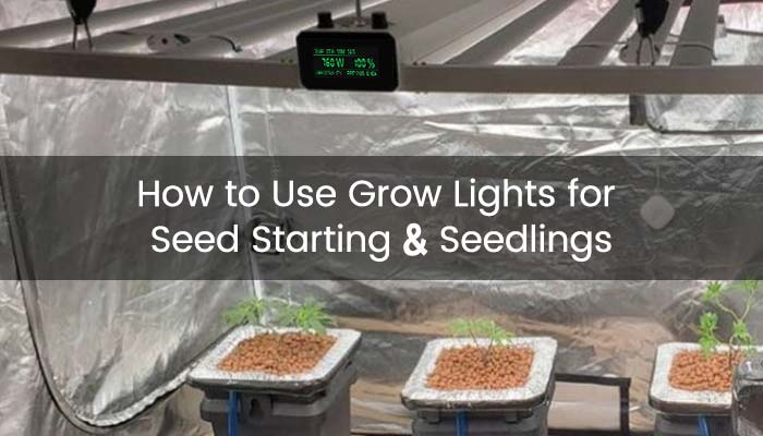 How to Use Grow Light for Seed Starting & Seedlings