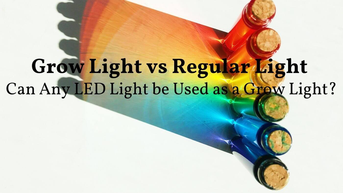 can any led light be used as a grow light