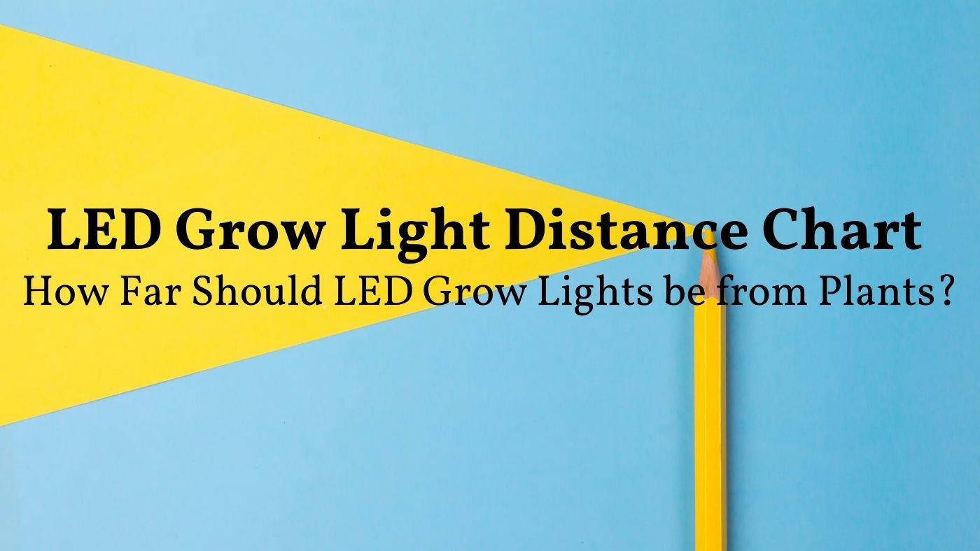 how far should led grow lights be from plants