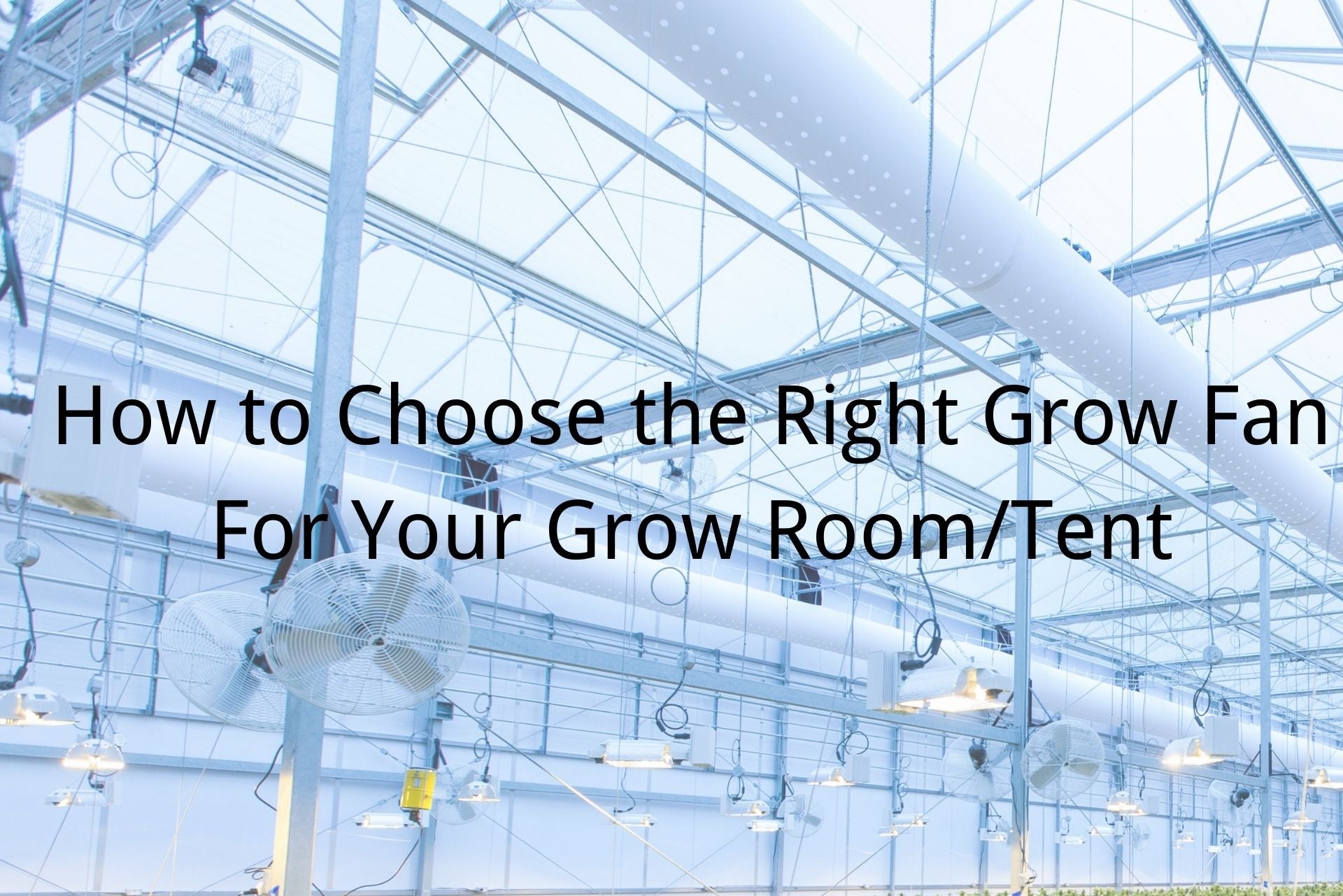 choose the right grow fan