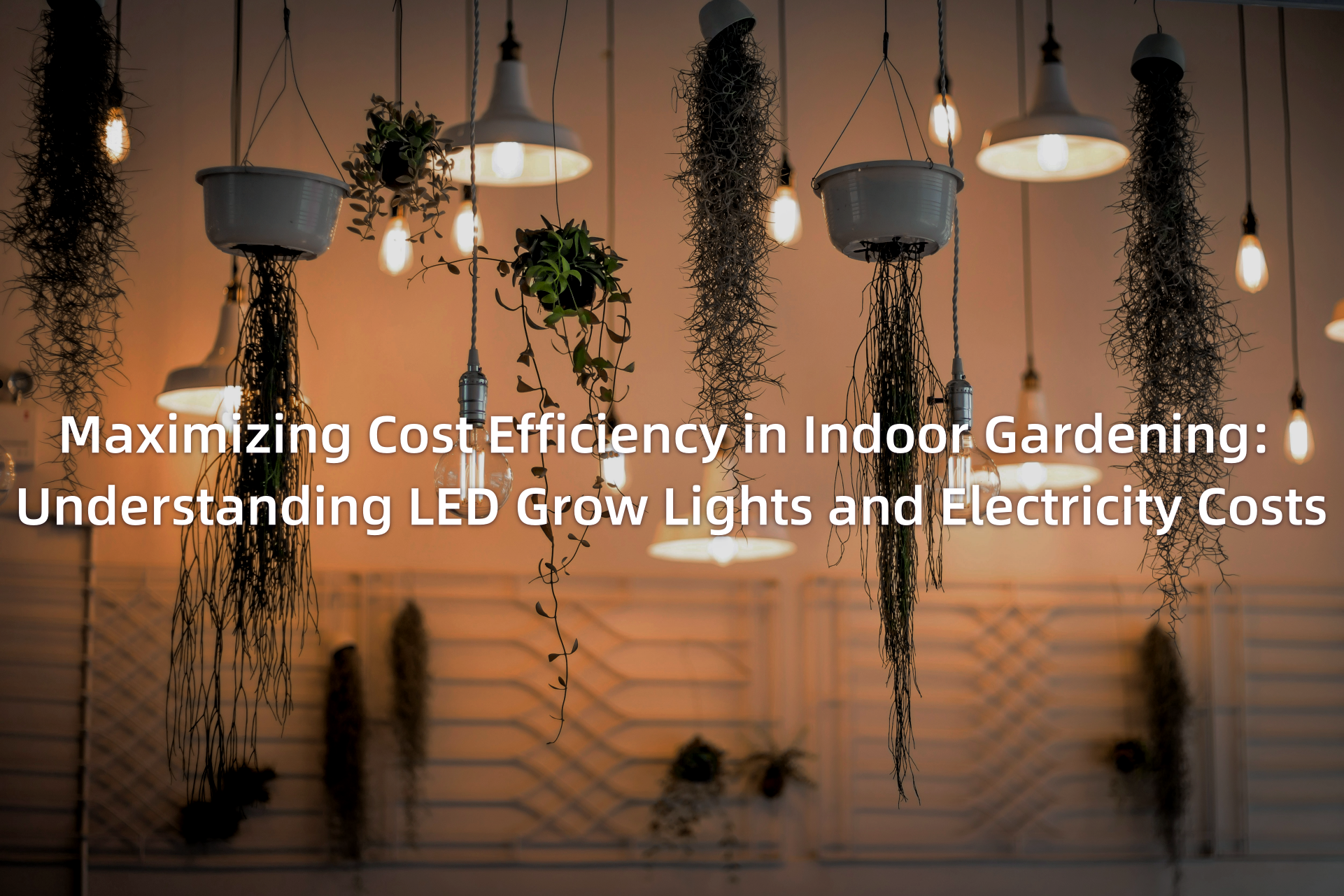 Maximizing Cost Efficiency in Indoor Gardening: Understanding LED Grow Lights and Electricity Costs