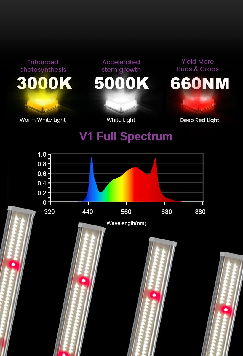 1000 Watt LED Grow Light