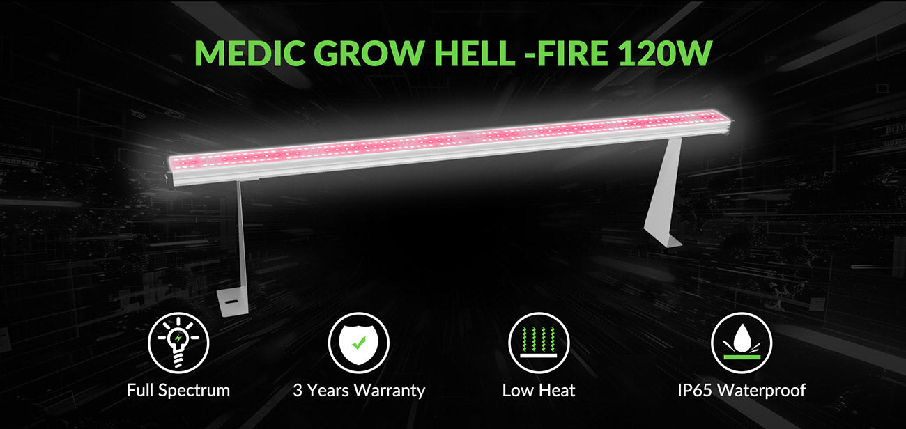 Medic Grow Hell-Fire 120W