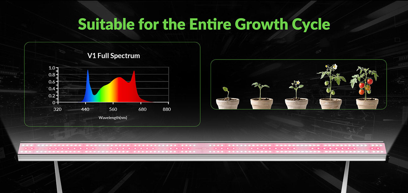 Full-Spectrum Under-Canopy LED Grow Light