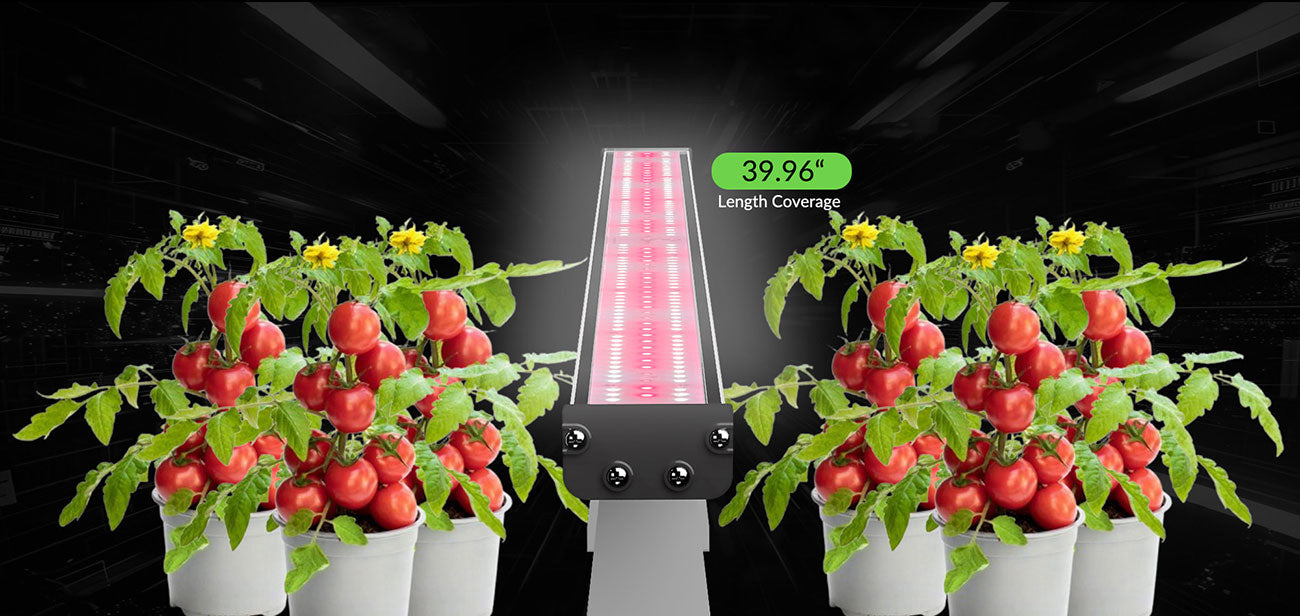 BREAK LIGHTING LIMITS, REACH FARTHER