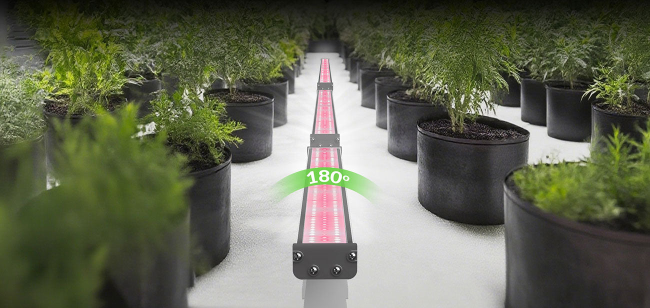 LED Grow Lights for Indoor Plants