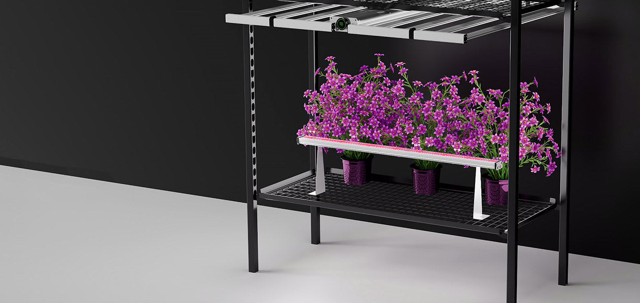 LED Grow Lights for Indoor Plants