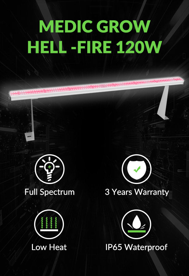 Medic Grow Hell-Fire 120W