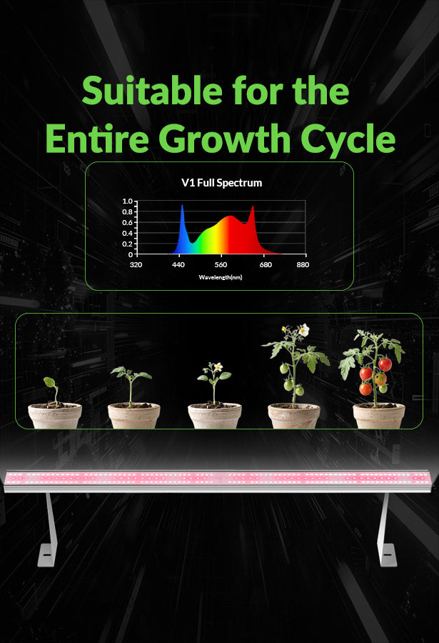 Full-Spectrum Under-Canopy LED Grow Light