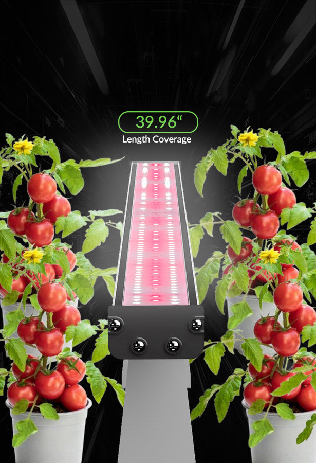 BREAK LIGHTING LIMITS, REACH FARTHER