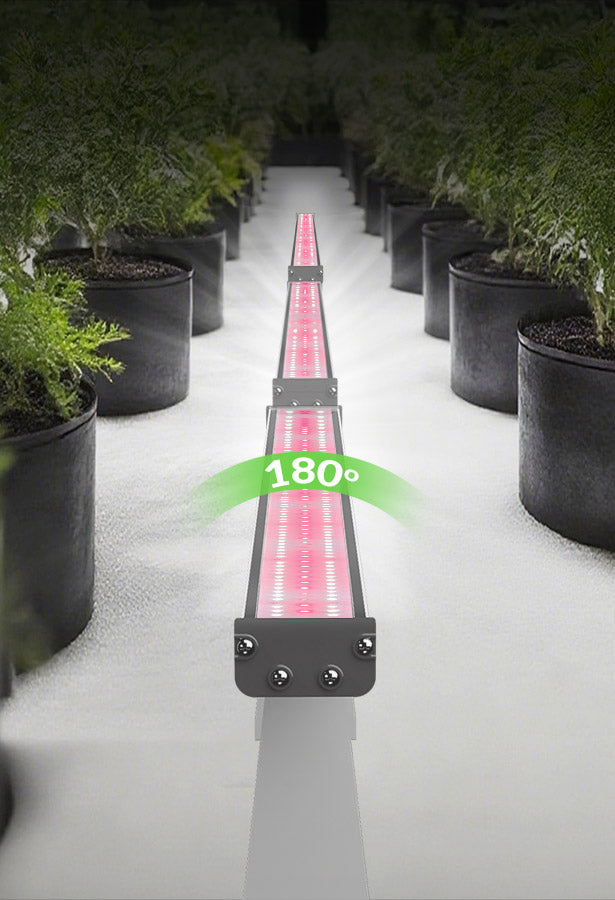 LED Grow Lights for Indoor Plants