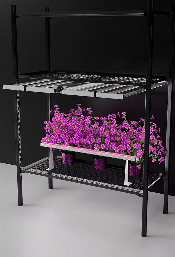 LED Grow Lights for Indoor Plants