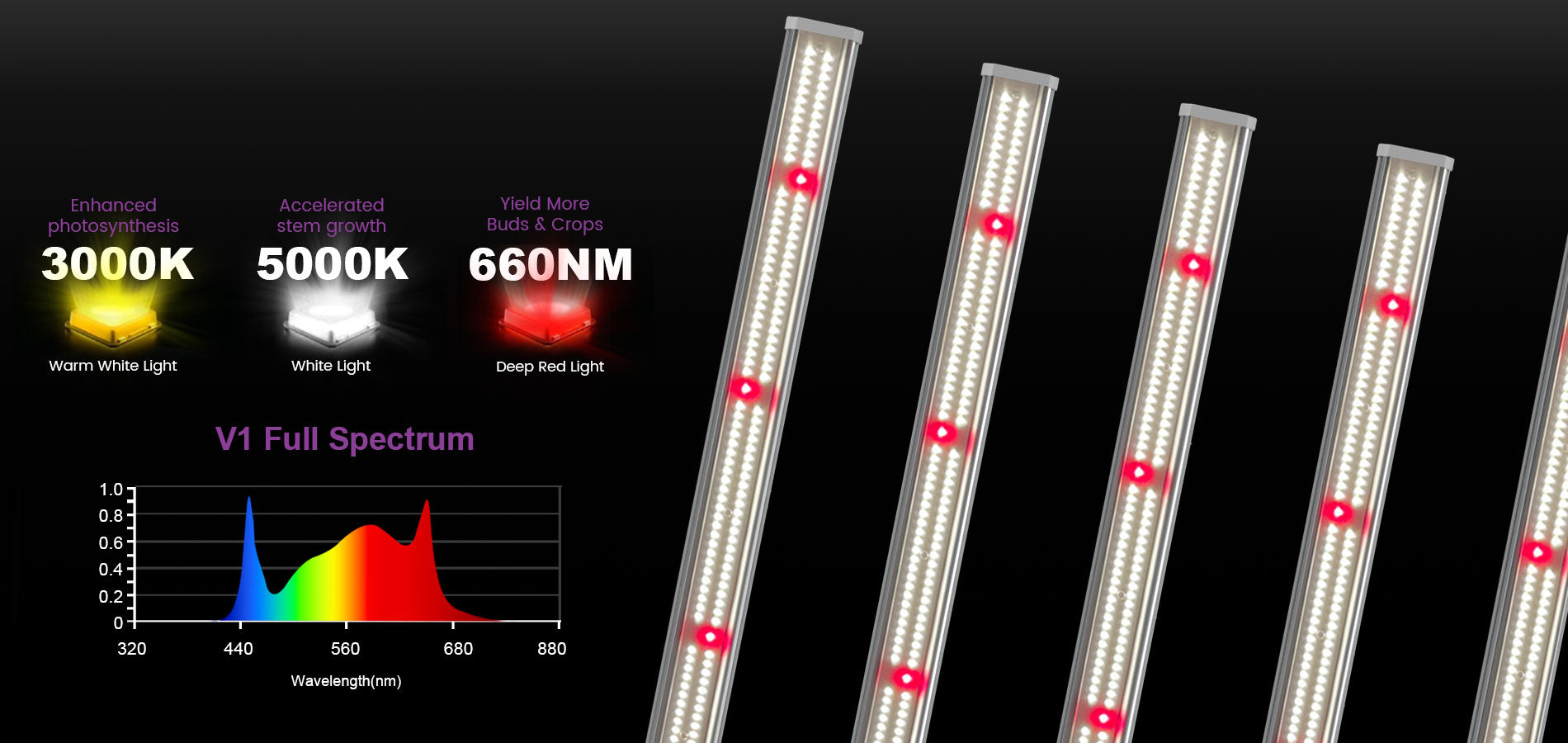 1000 Watt LED Grow Light