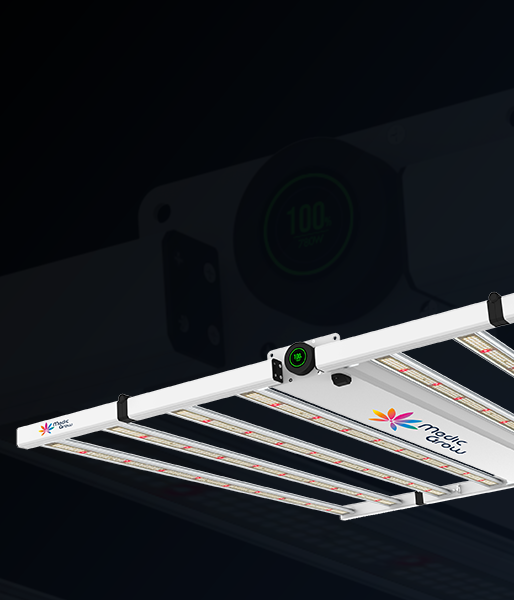 LED Grow Lights