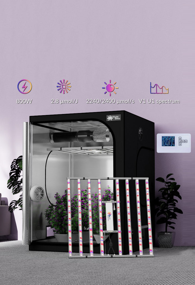 LED GROW LIGHTS AND TENTS