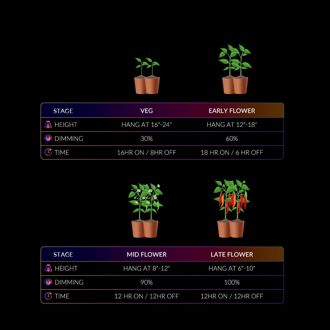 growing tips