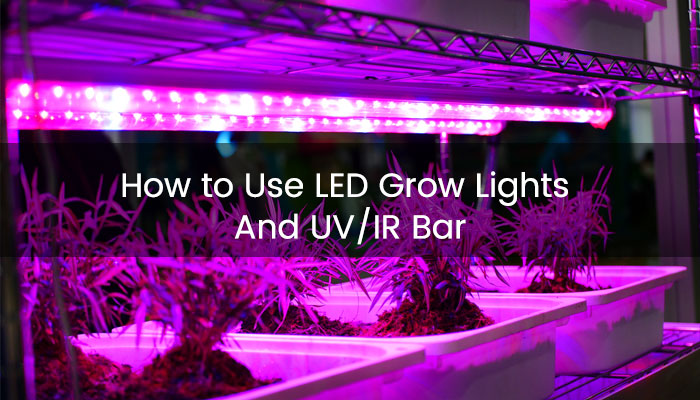 How to Use LED GROW Lights And UV/IR BAR