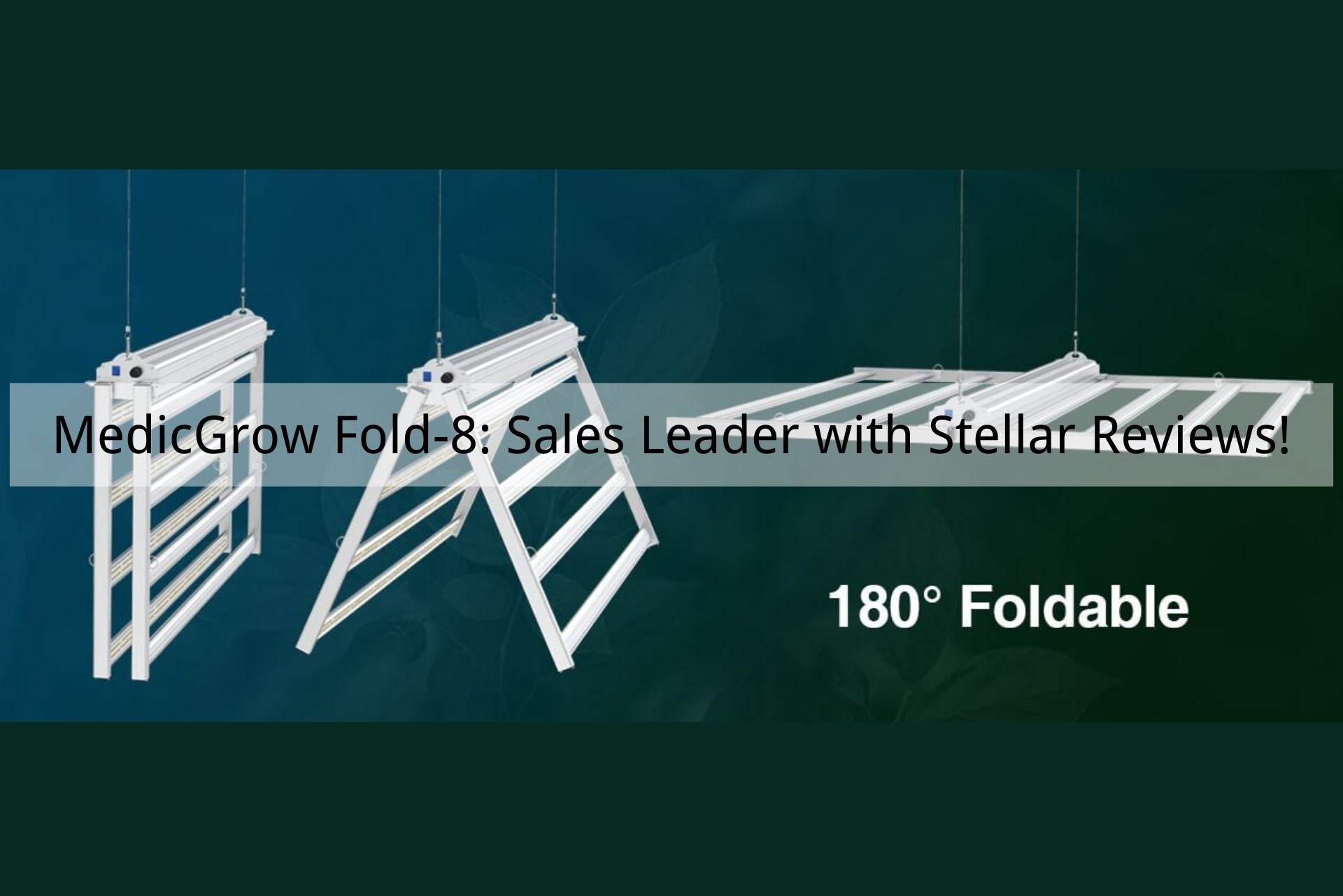 MedicGrow Fold-8: Sales Leader with Stellar Reviews!