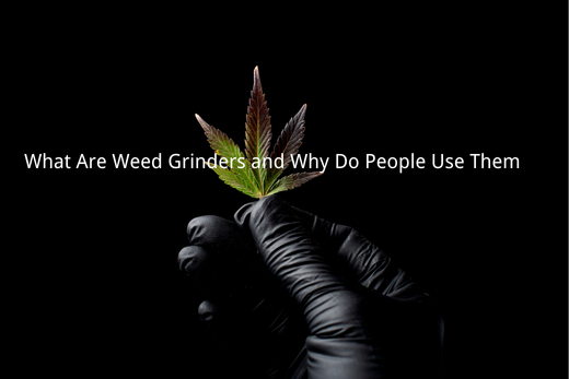 What Are Weed Grinders and Why Do People Use Them?