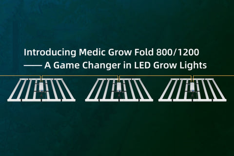 Revolutionizing Cannabis Cultivation——Medic Grow Fold 800 and Fold 1200 LED Grow Lights
