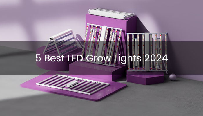 5 Best LED Grow Lights 2024