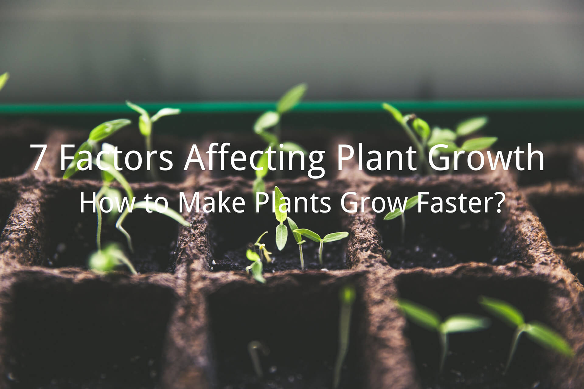 factors affecting plant growth