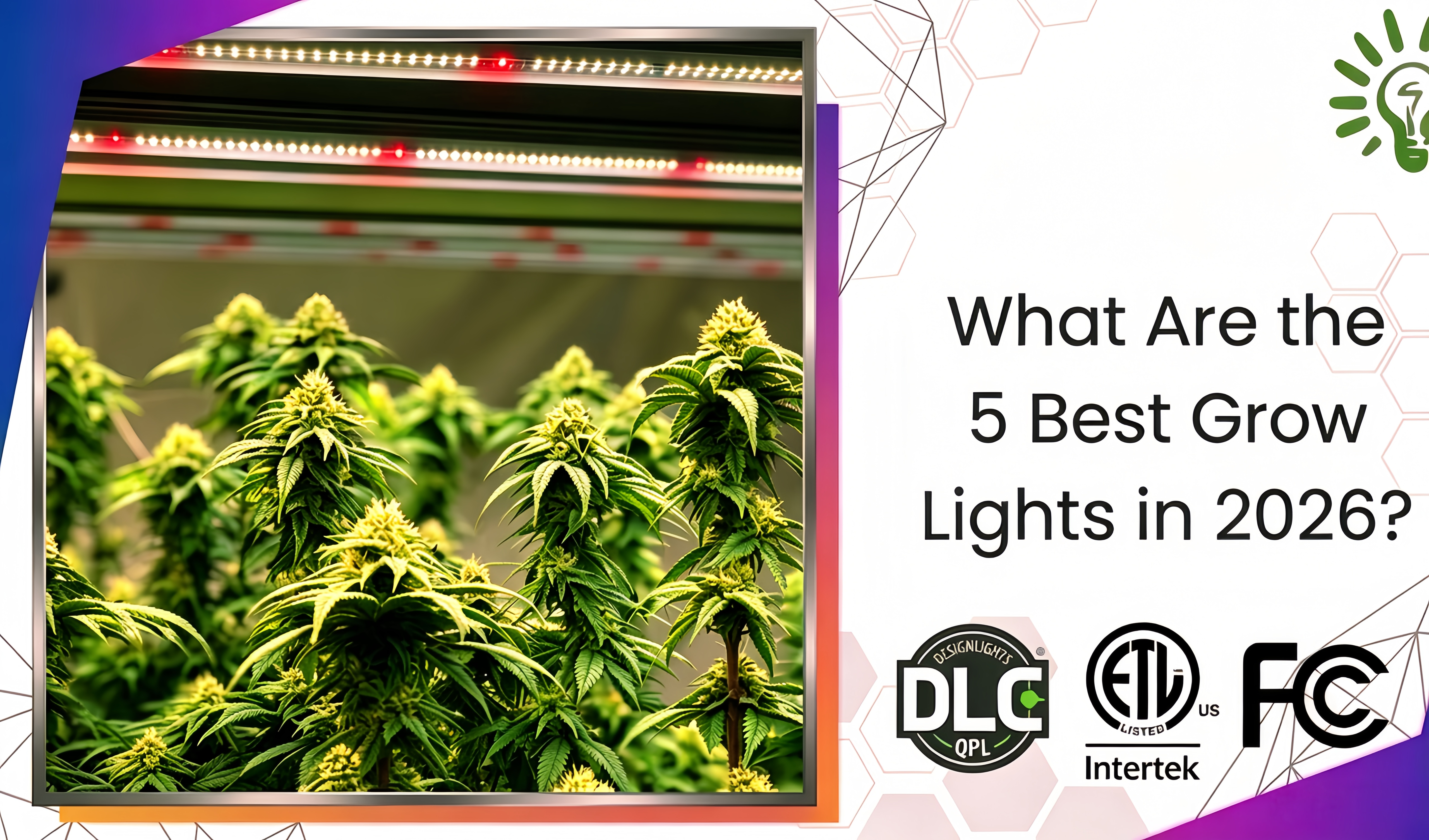 What Are the 5 Best Grow Lights in 2026?