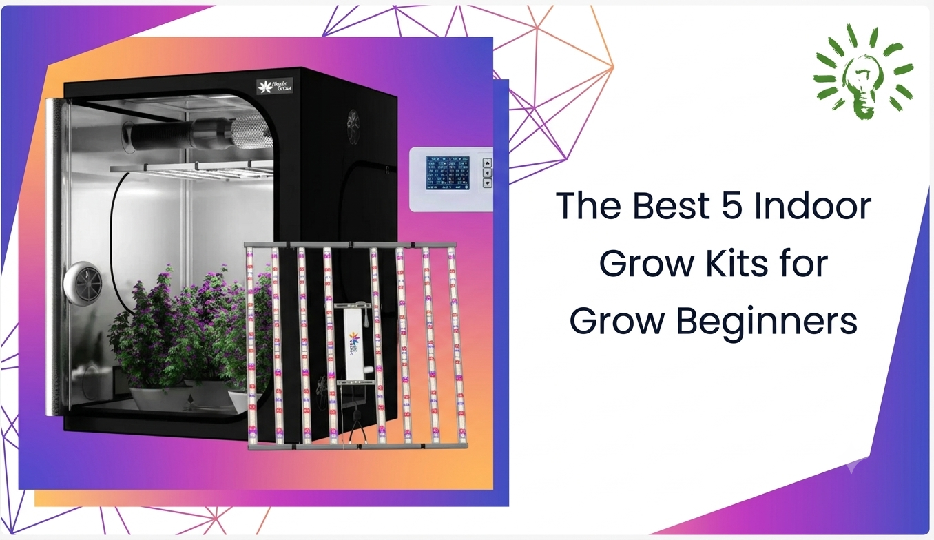 Best 5 Indoor Grow Kits for Grow Beginners: Save Money and Better yield