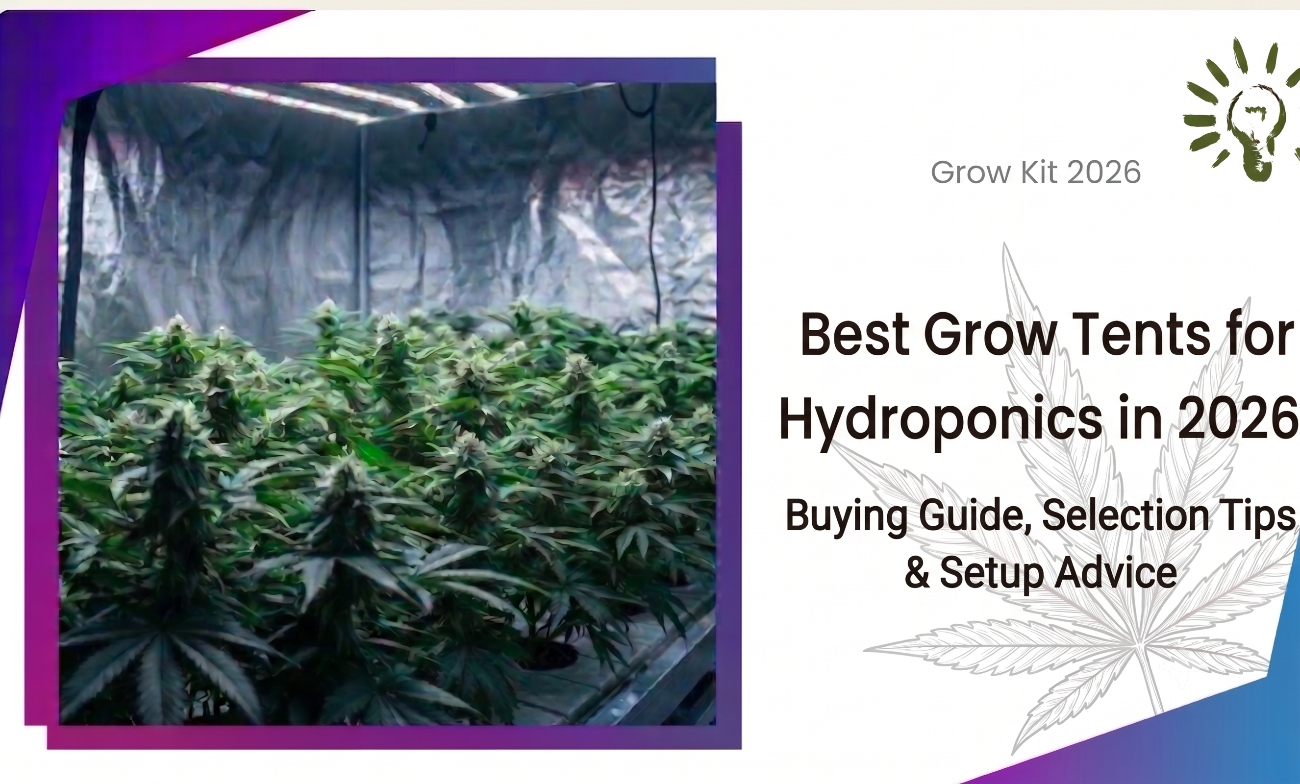 Best Grow Tents for Hydroponics in 2026: Buying Guide, Selection Tips & Setup Advice
