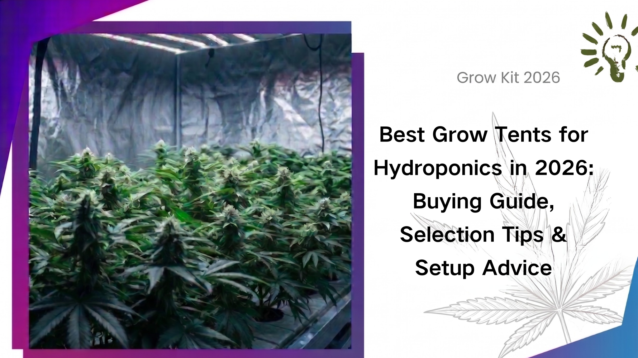 Best Grow Tents for Hydroponics in 2026: Buying Guide, Selection Tips & Setup Advice