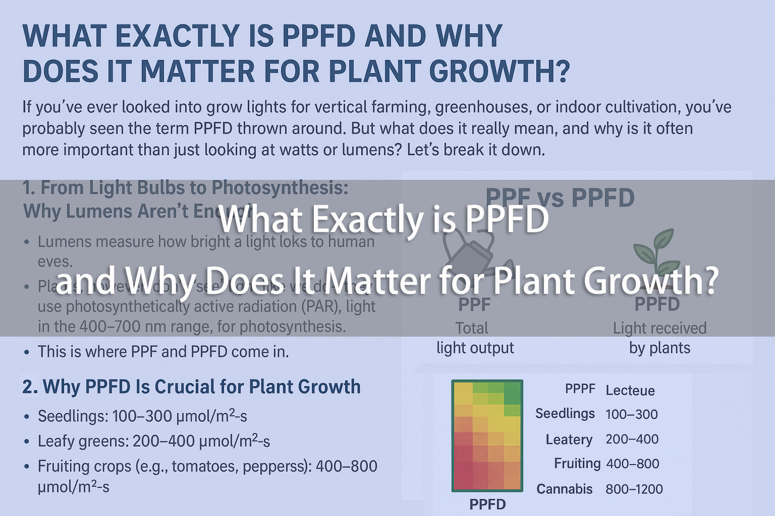 What Exactly is PPFD and Why Does It Matter for Plant Growth?