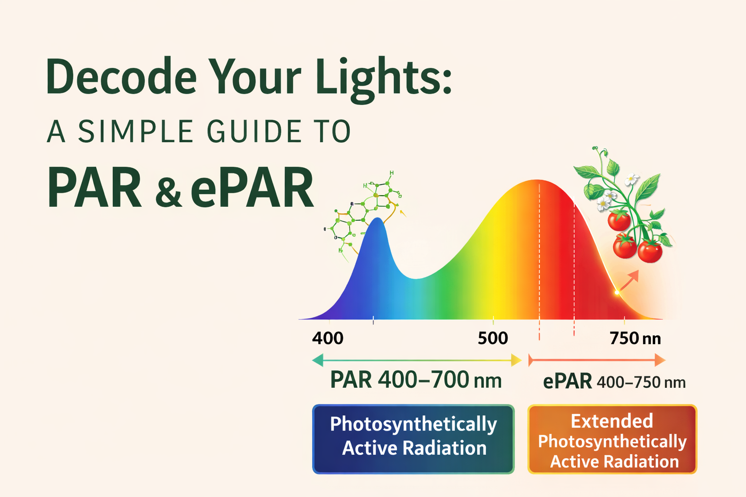 🌿 What is PAR & ePAR Light? Understanding the Language of Plant Lighting