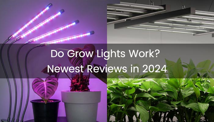 Do Grow Lights Work?