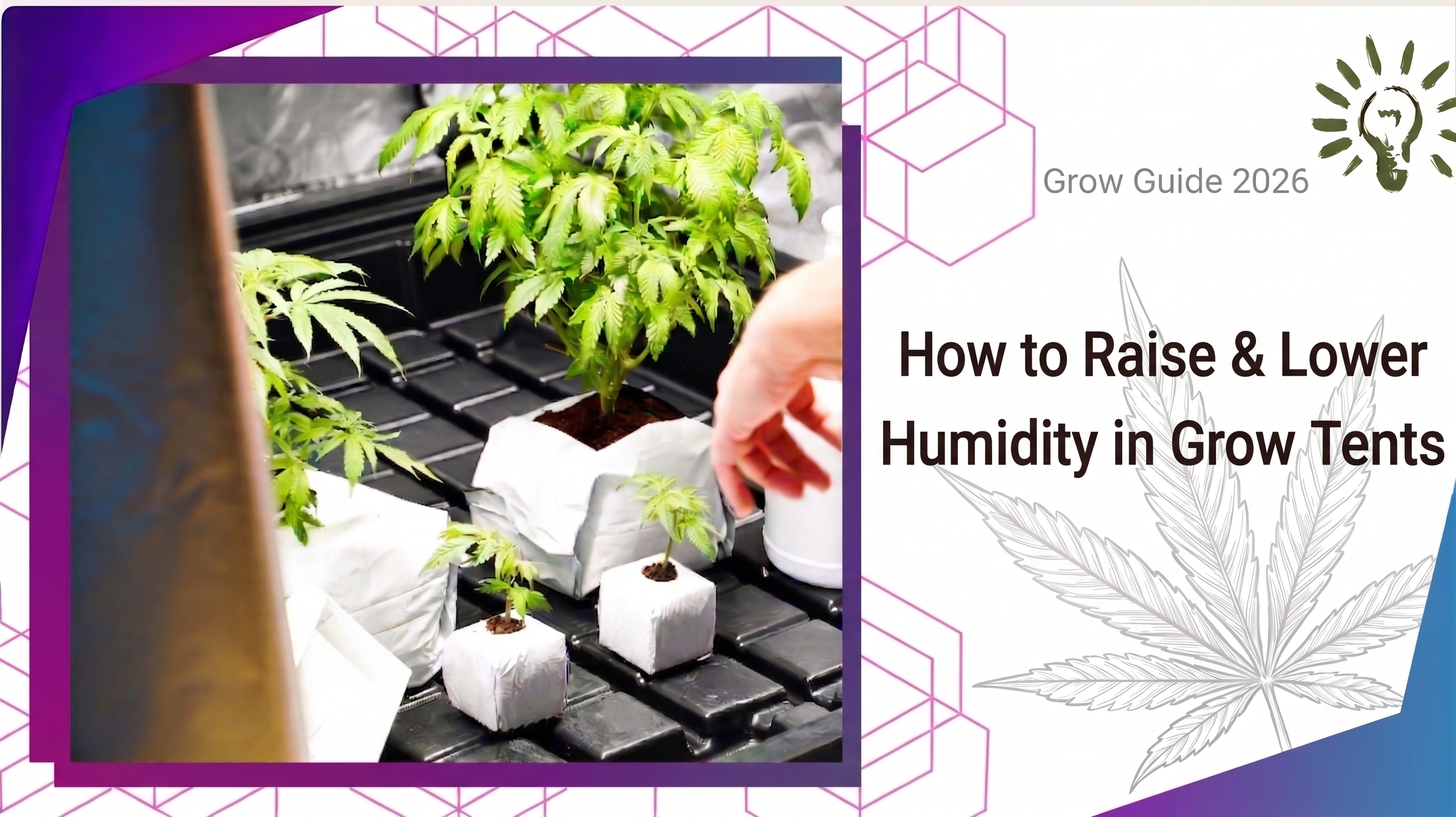 How to Raise & Lower Humidity in Grow Tents