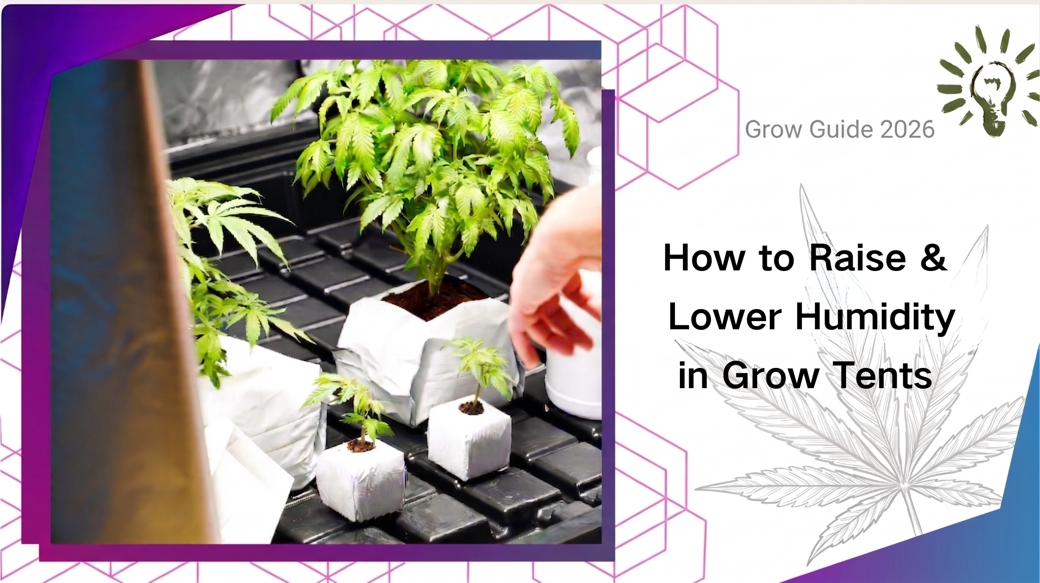 How to Raise & Lower Humidity in Grow Tents