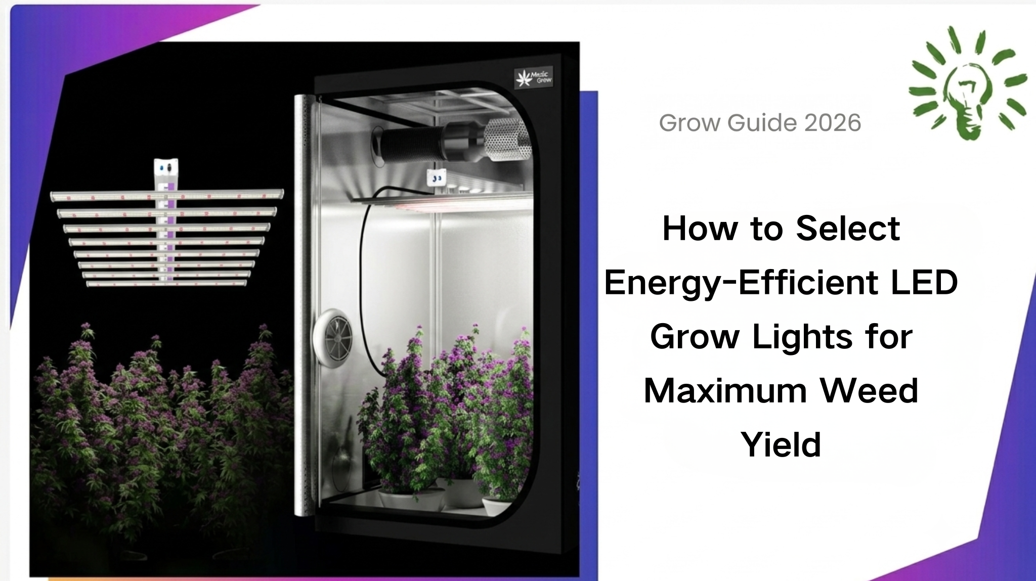 How to Select Energy-Efficient LED Grow Lights for Maximum Weed Yield