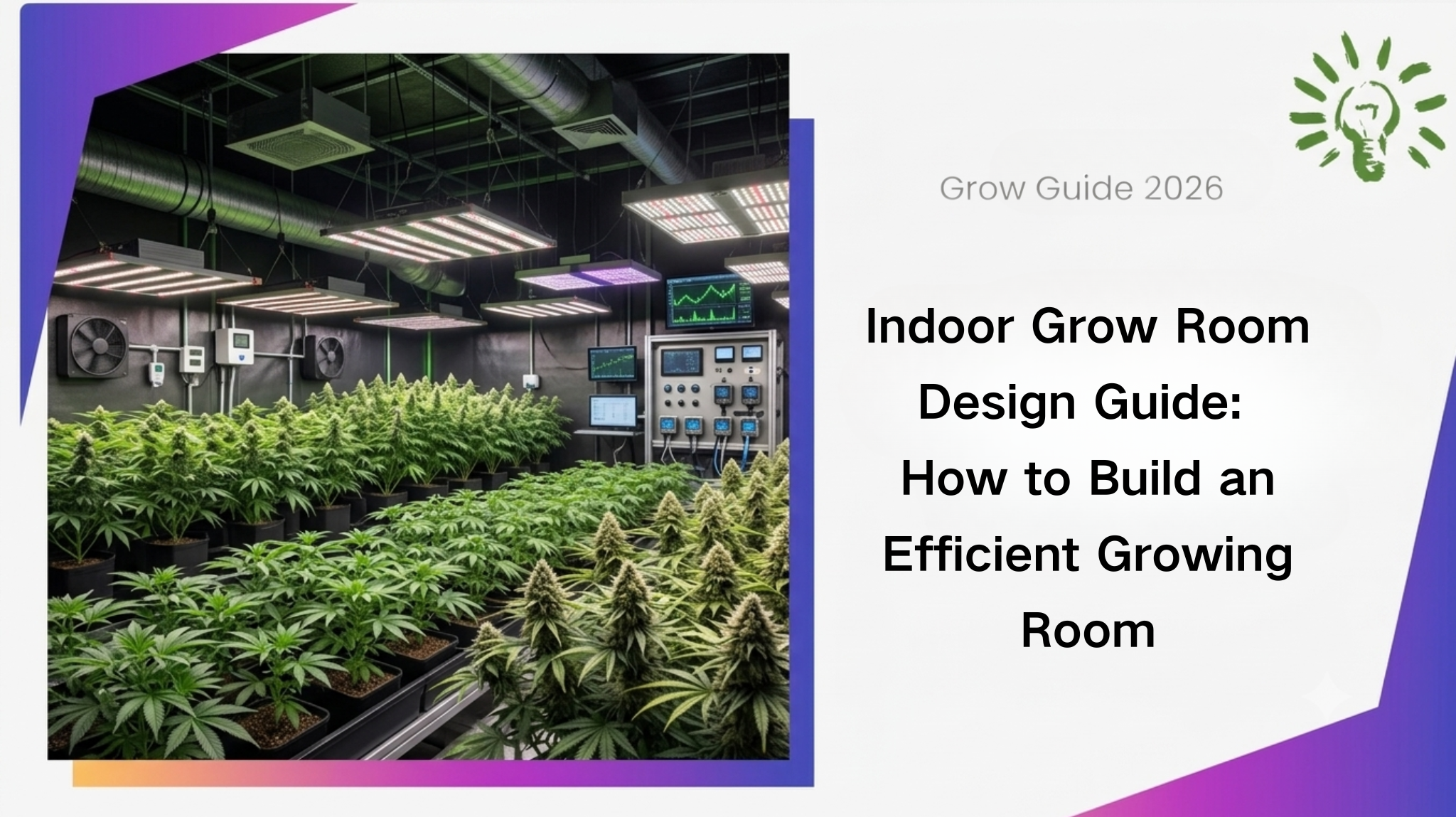 Indoor Grow Room Design Guide: How to Build an Efficient Growing Room