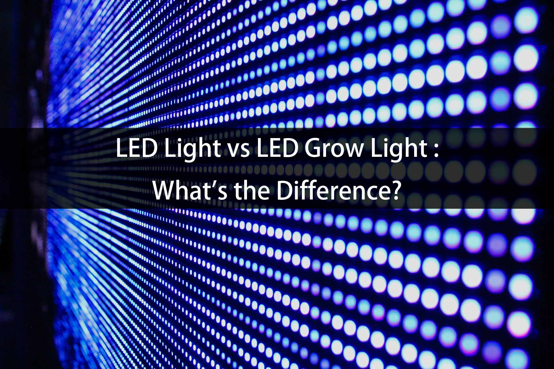 LED Light vs LED Grow Light : What's the difference?