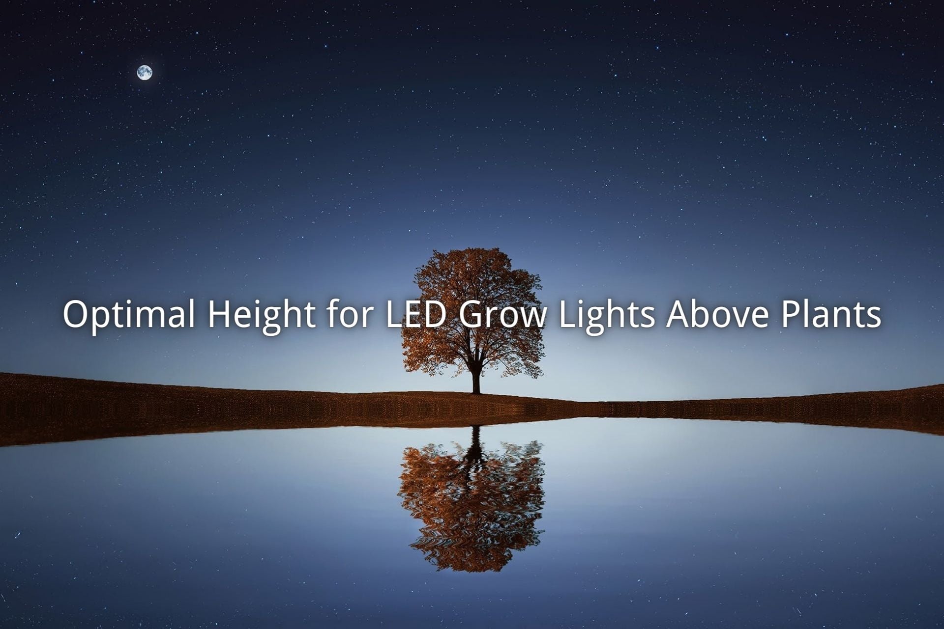 Optimal Height for LED Grow Lights Above Plants