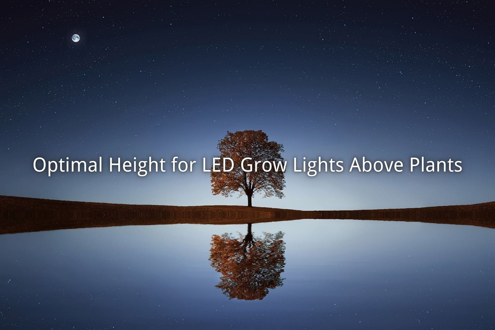 Ideal LED Grow Light Height for Plants