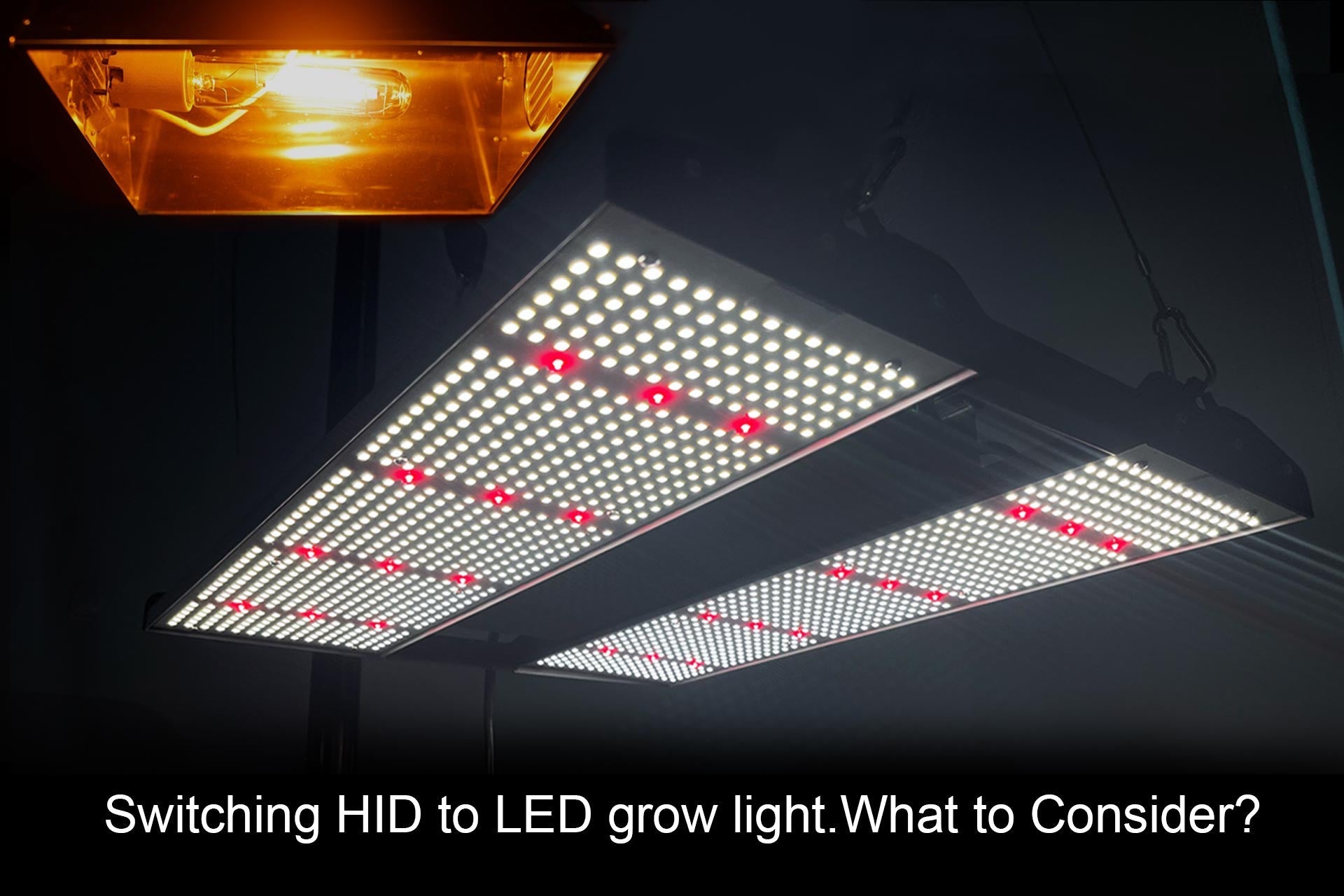 Switching Hps To Led Grow Light What