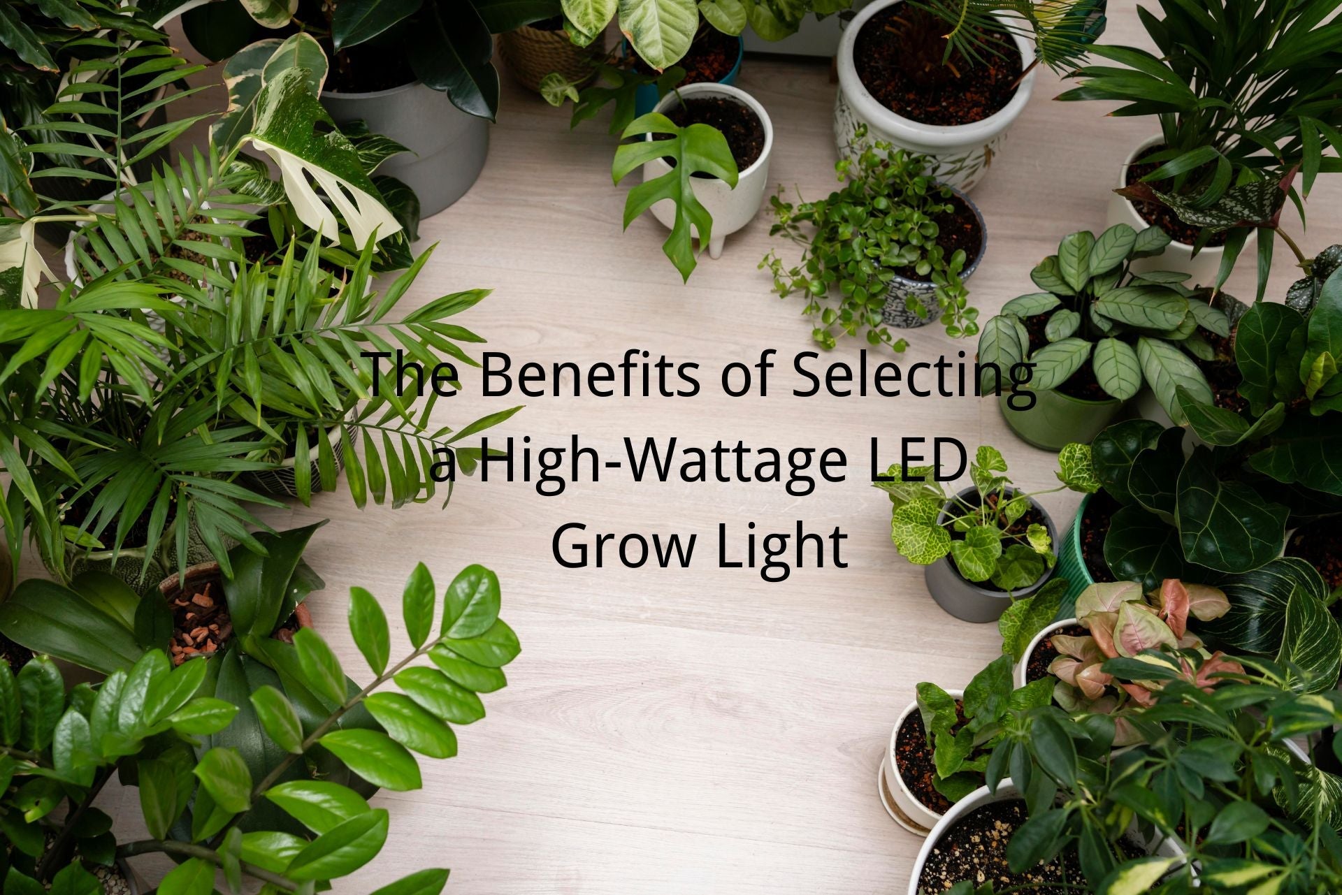 The Benefits of Selecting a High-Wattage LED Grow Light