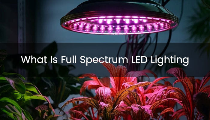 What Is Full Spectrum LED Lighting?