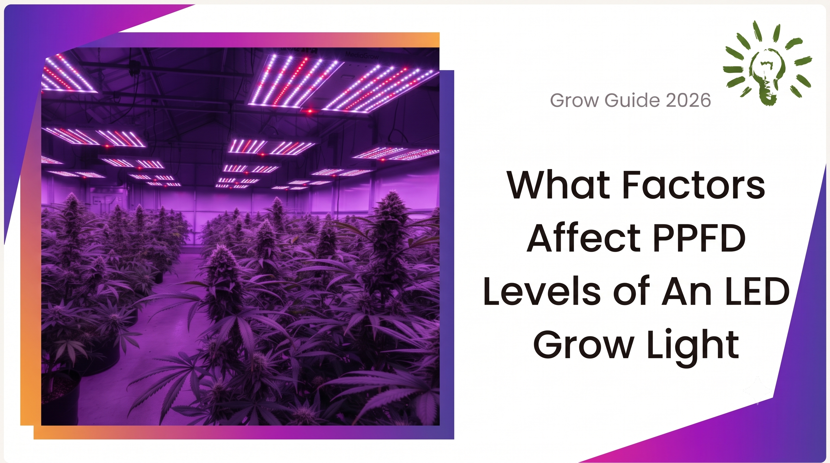 What Factors Affect PPFD Levels of An LED Grow Light