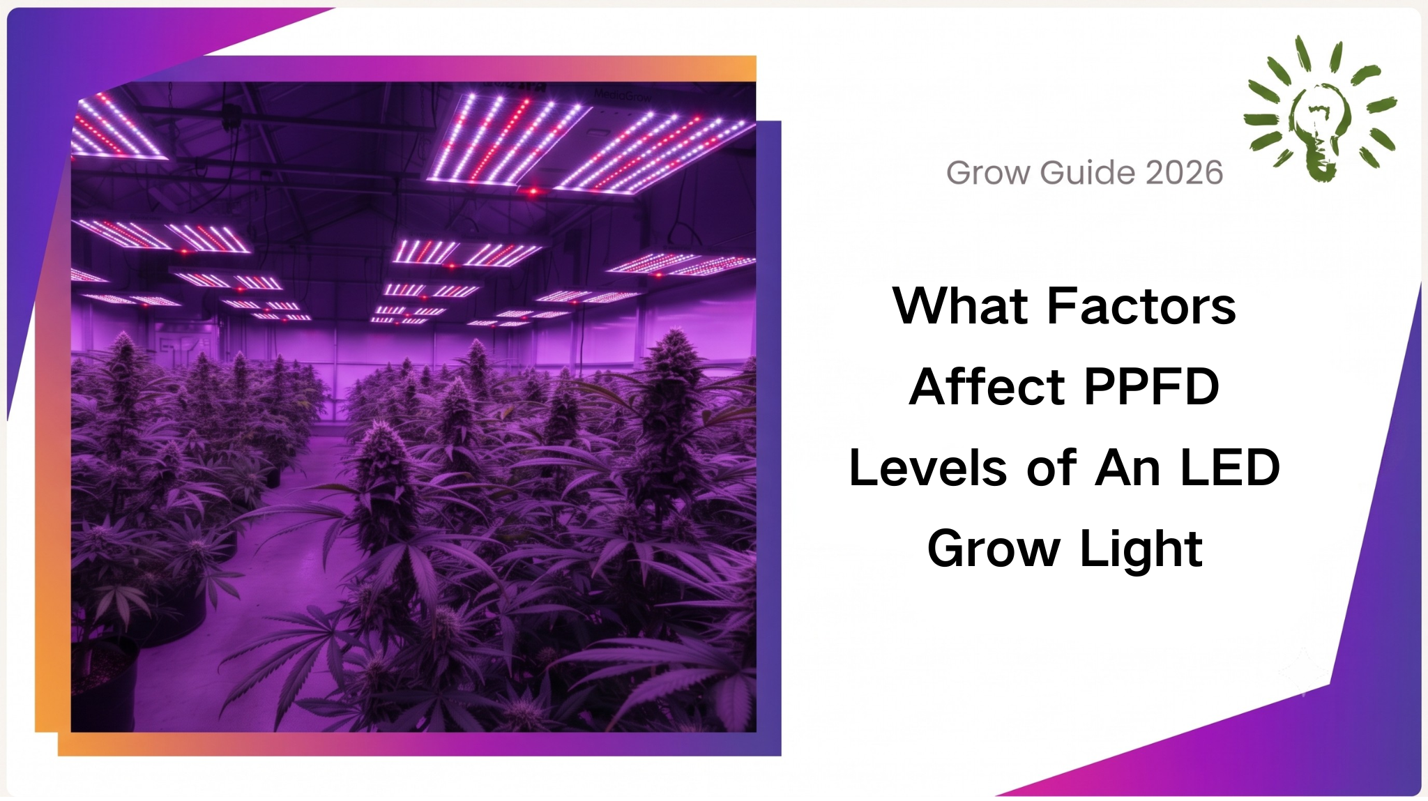 What Factors Affect PPFD Levels of An LED Grow Light