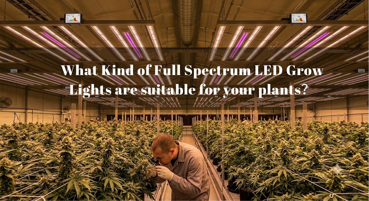 What Kinds of Full Spectrum LED Grow Lights are Suitable for Your Plants？