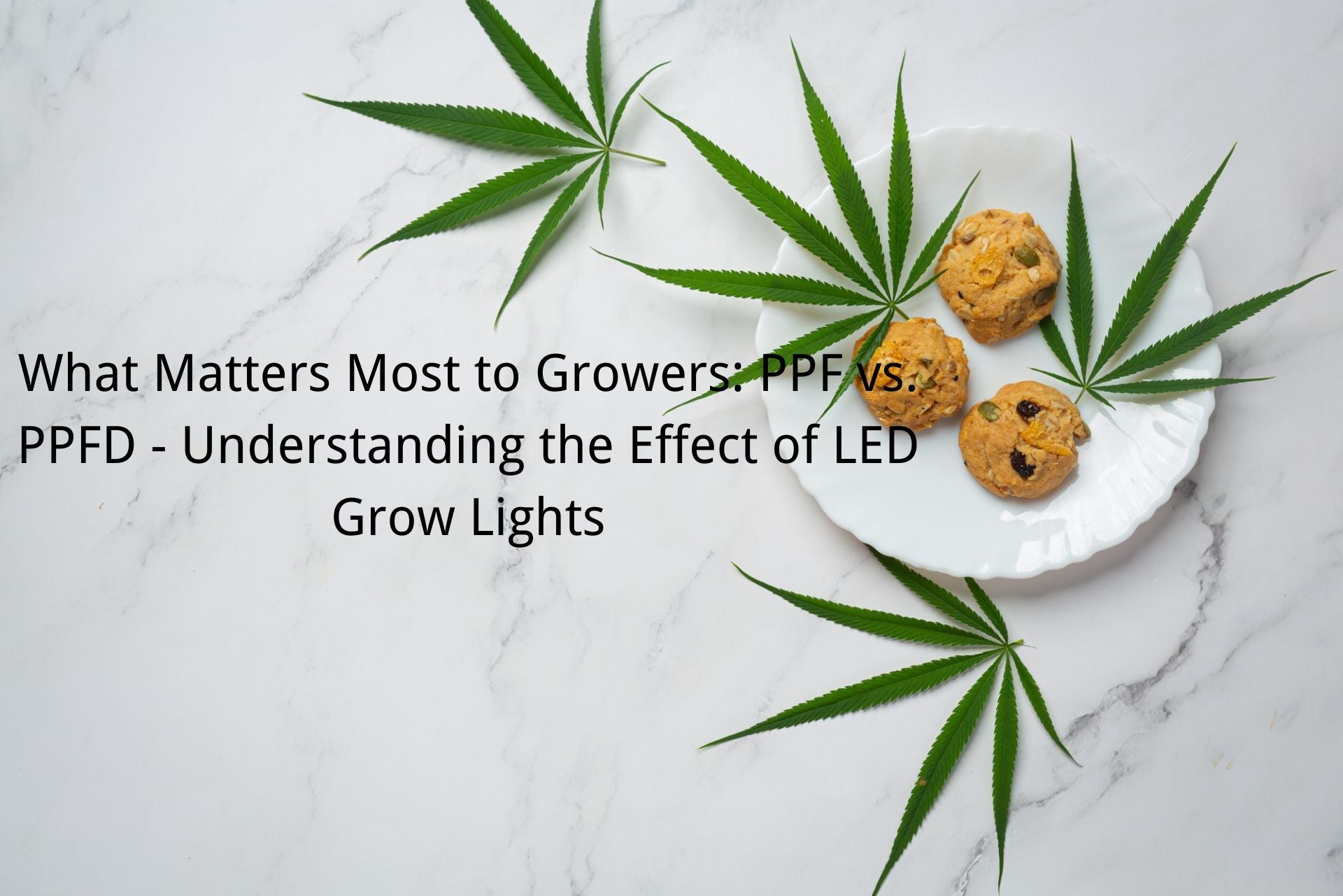What Matters Most to Growers: PPF vs. PPFD - Understanding the Effect of LED Grow Lights
