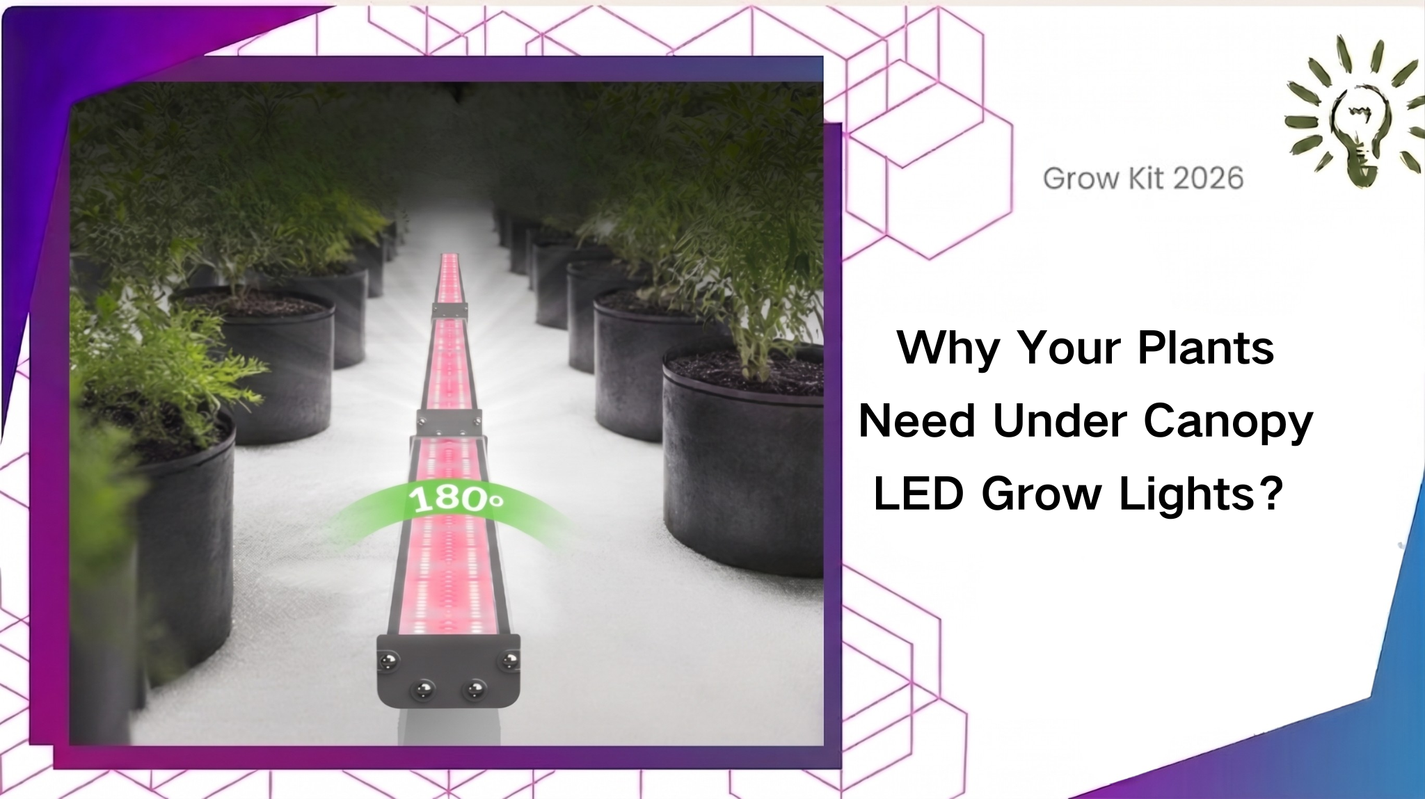 Why Your Plants Need Under Canopy LED Grow Lights: Setup Guide & Usage Tips