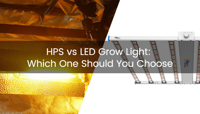 HPS vs LED