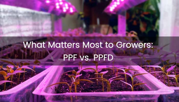 What Matters Most to Growers: PPF vs. PPFD - Understanding the Effect of LED Grow Lights